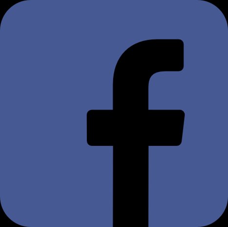 Facebook Philippe Braun